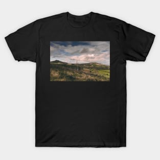 Bellevue View T-Shirt